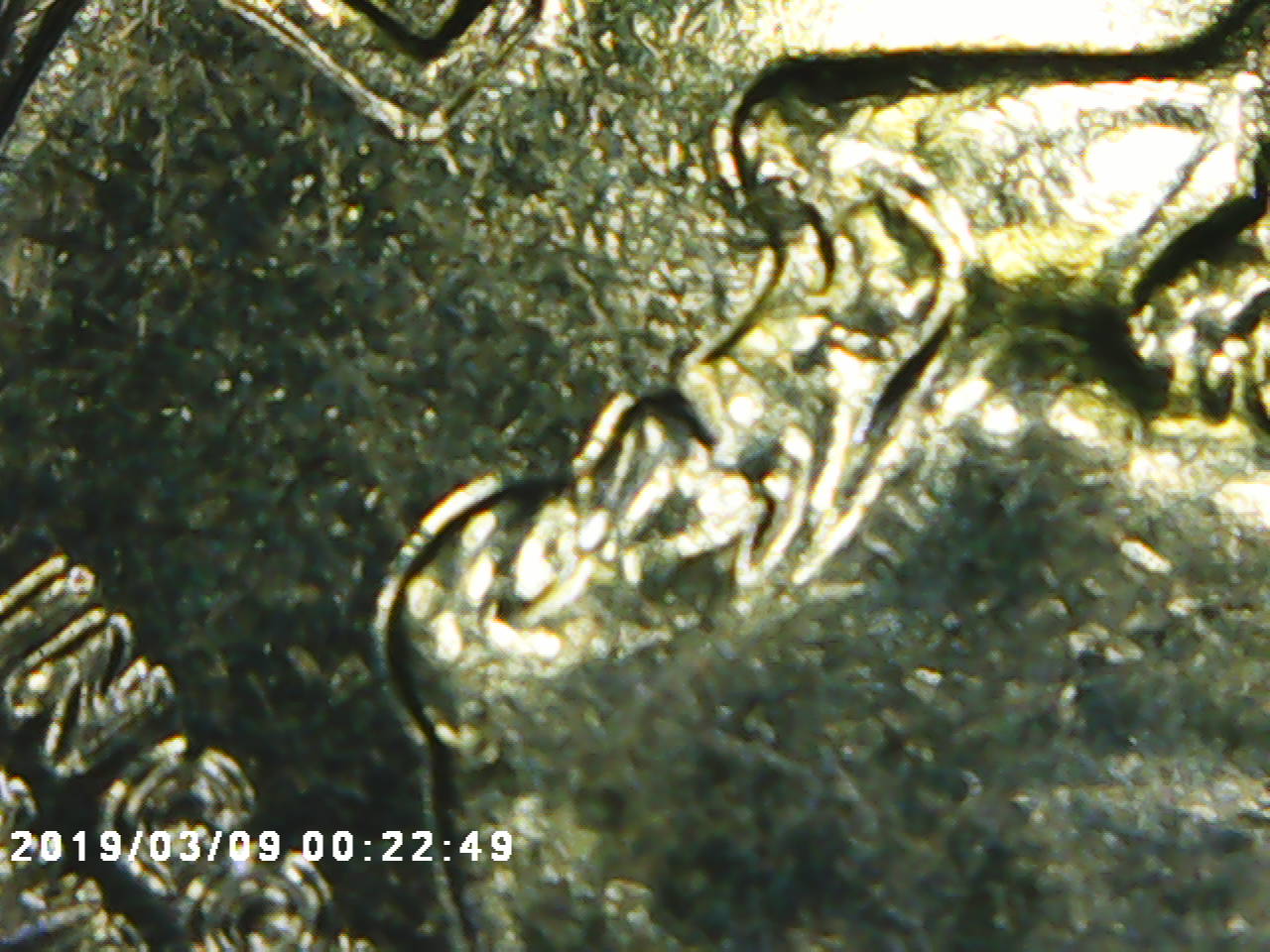2015-D-..-Dime-With-Nice-Signs-Of-Doubling.
