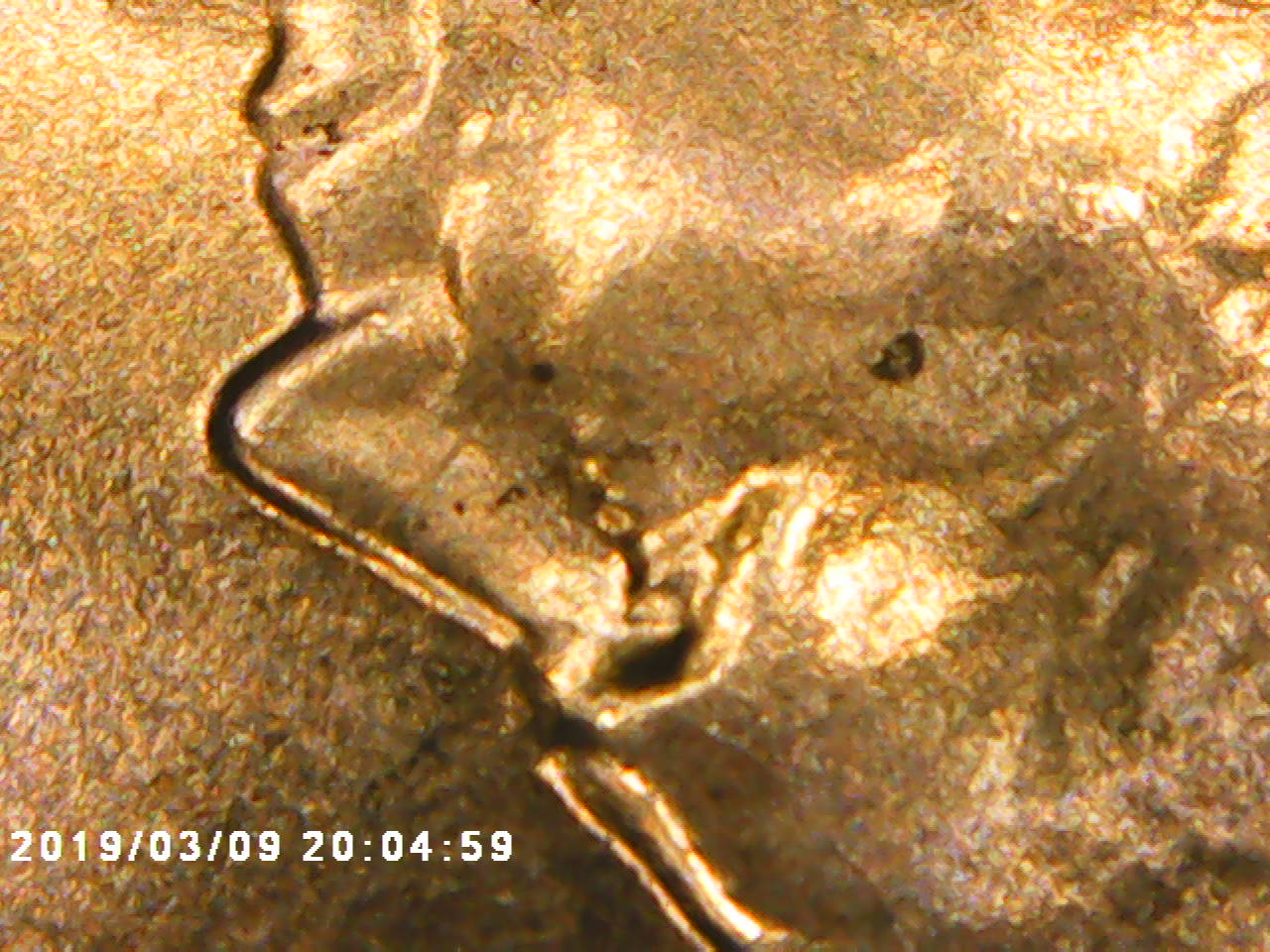 2019-Penny-Doubled-Die-?-Or-DDD-?