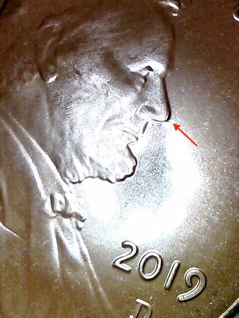 2019-D-LSC-Obverse-Questions
