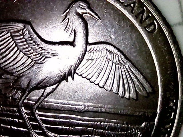 2018-D-Cumberland-Island--Struck-Through-Grease-Obverse-Vertical-Lines-?