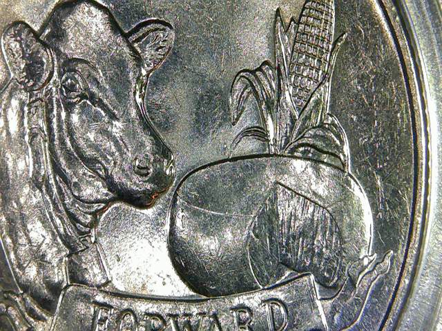 Found-2004-D-Quarter-Extra-Low-Leaf!