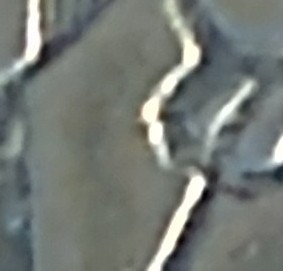 1804-Silver-Dollar-Is-?