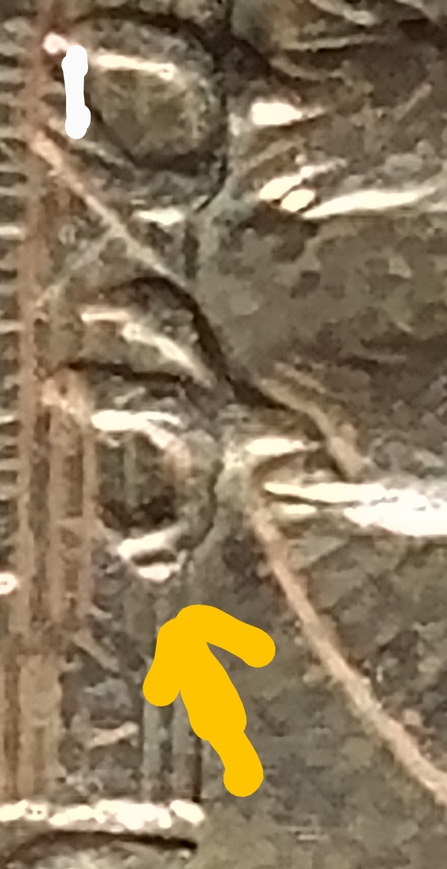 1998-D-Error-Quarter-Possible-Extra-Talon
