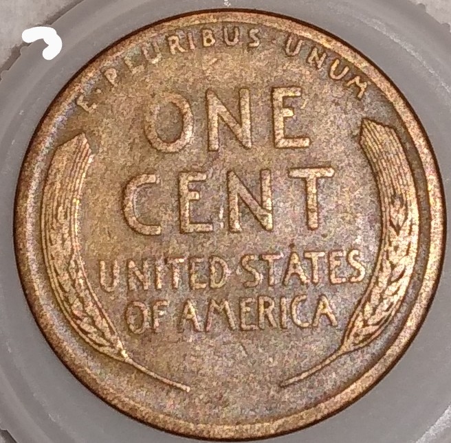 Woody-Cents,-Good-Looking-Coins-Just-Not-Sure-If-They-Are-Or-Not.