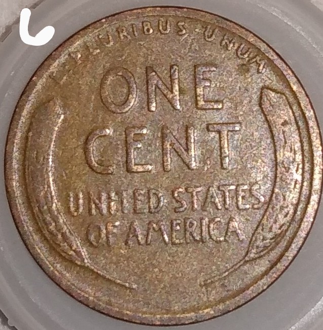 Woody-Cents,-Good-Looking-Coins-Just-Not-Sure-If-They-Are-Or-Not.