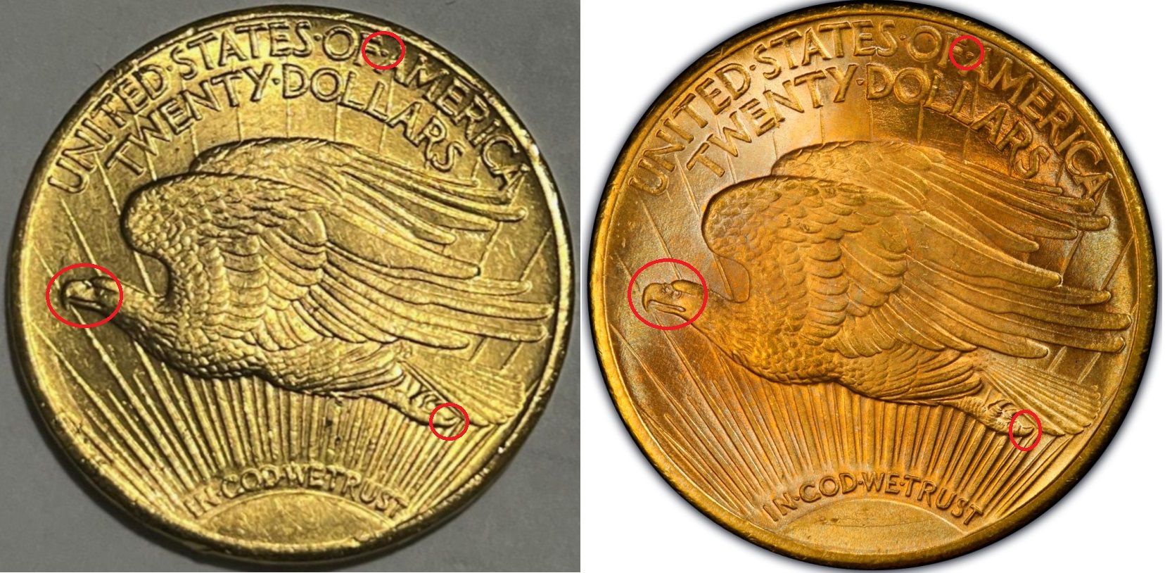 $20-Double-Eagle,-What-Do-You-Think-About-It's-Authenticity-From-Photos?-1924