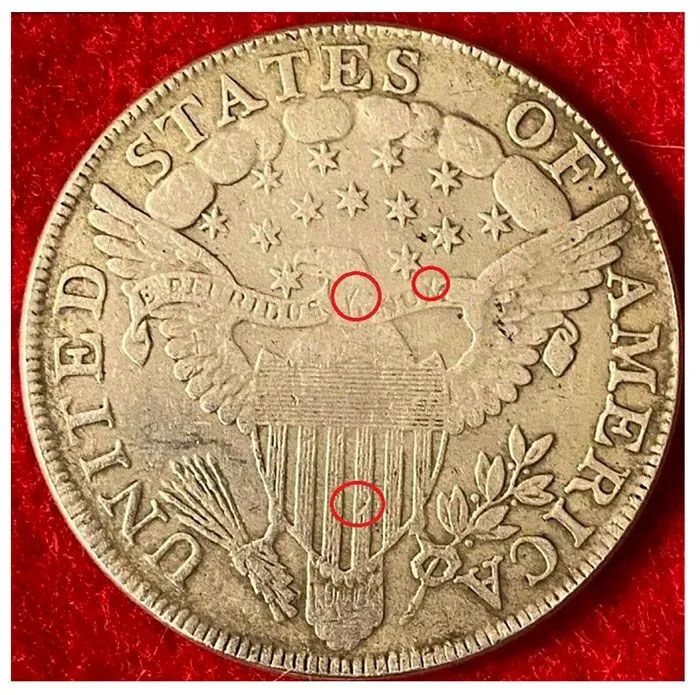 1798-Draped-Bust-Likely-Fake?