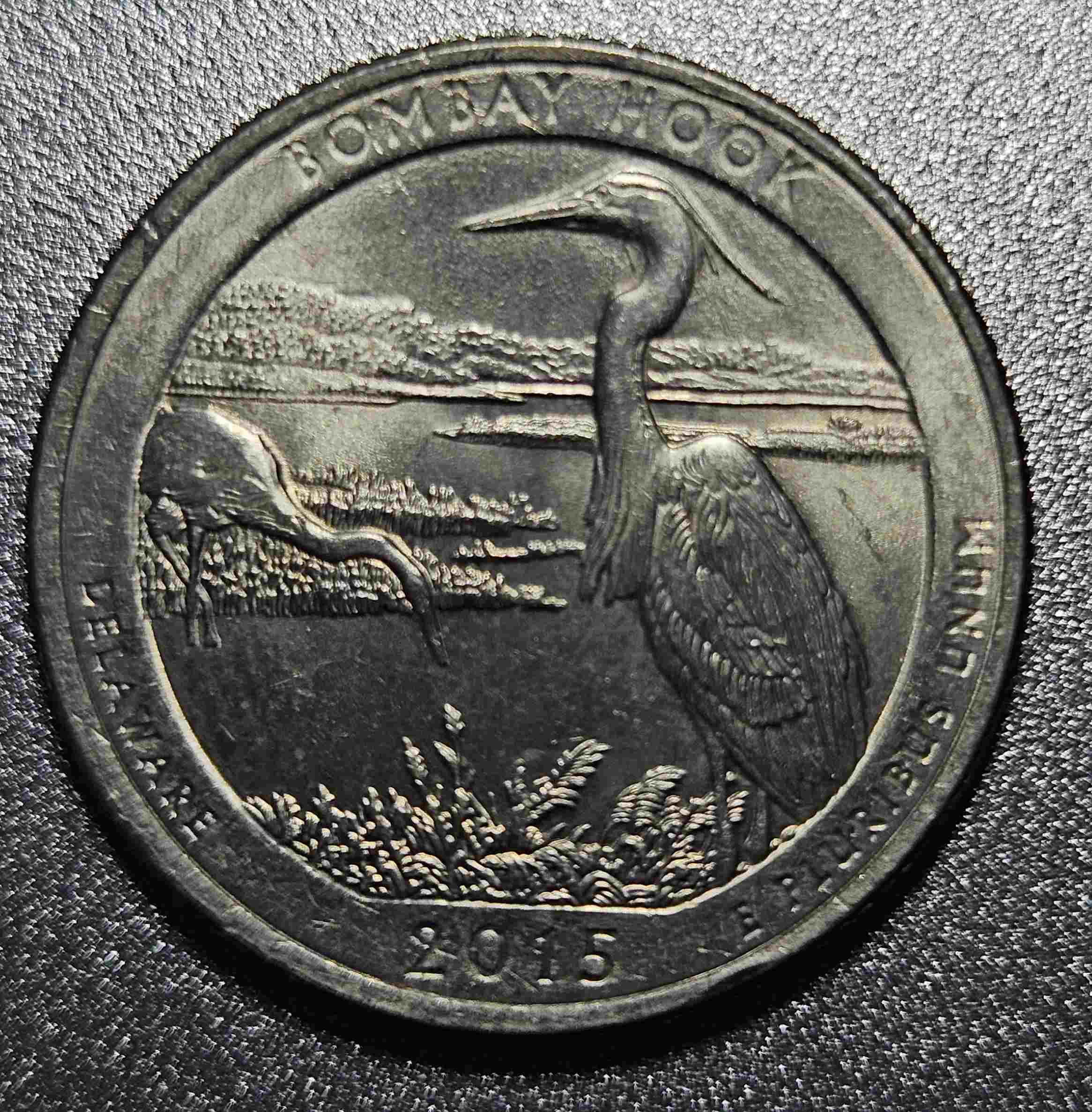 2015-P-Bombay-Hook-Question-Quarter