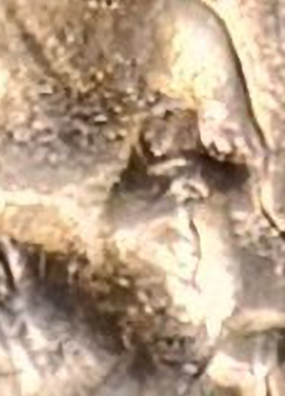 2004-D-Penny-Question-And-Ear