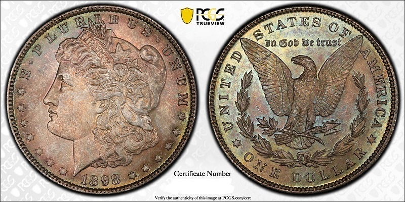 1898-Morgan.--Grade?---Practice