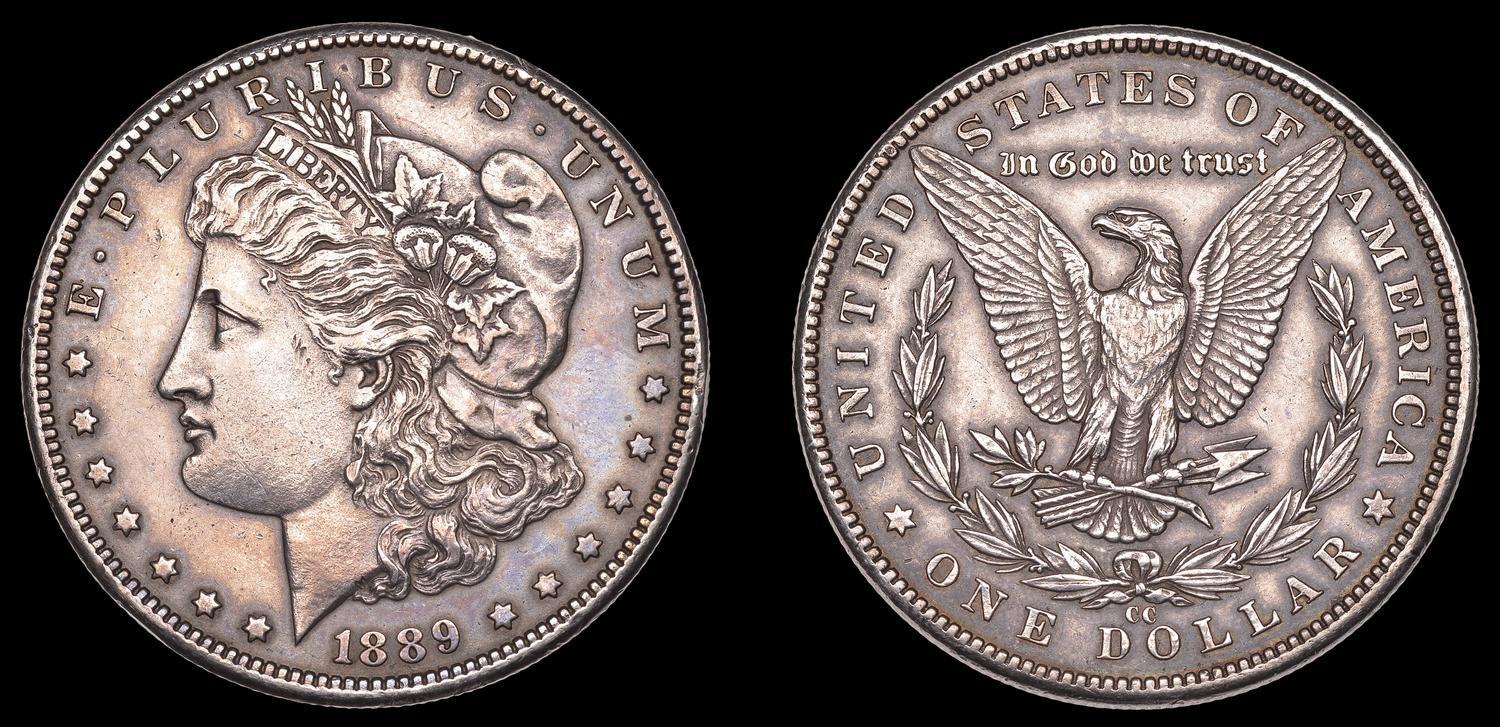 1795-$1-Flowing-Hair-Authenticity-Validation