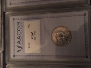How-To-Store-Aacgs-Coins