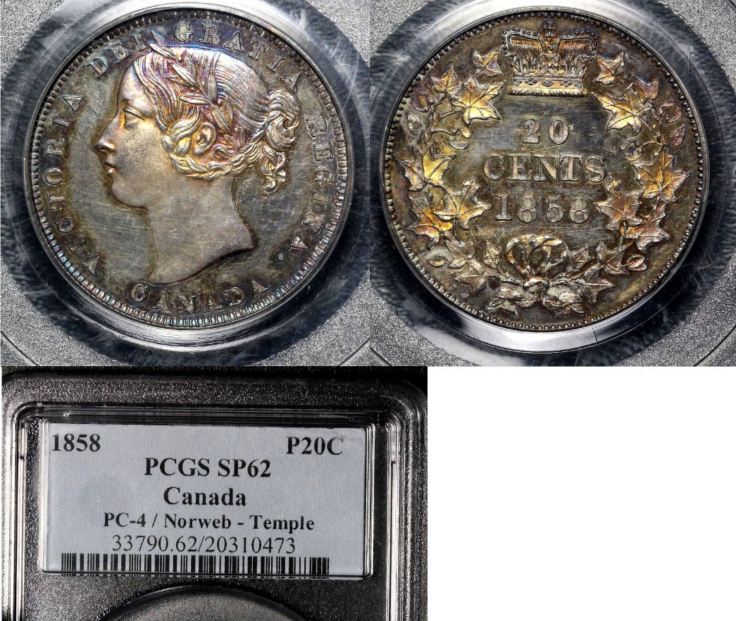 1858-20c-Canada/'new-Brunswick-Mule