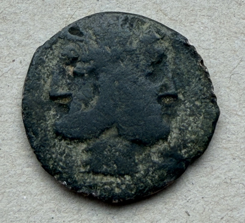 Help-ID-Roman-Janus-Coin