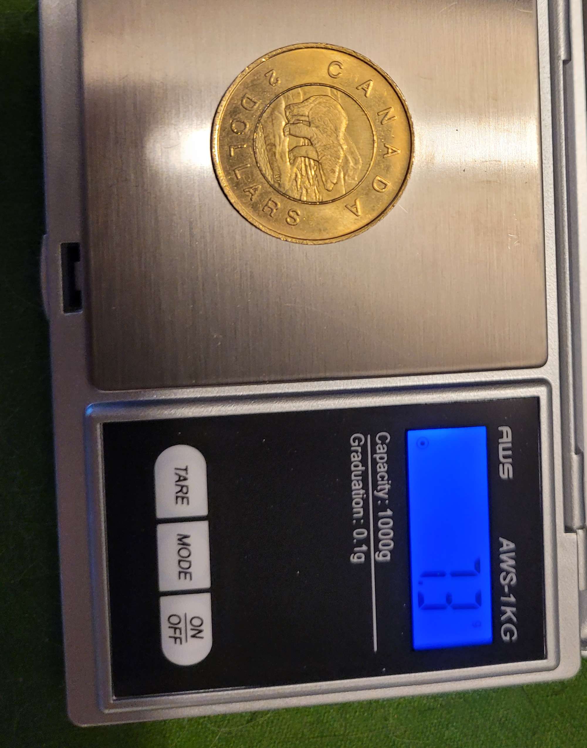 Recently-Bought-This-Toonie,-Can-Someone-Tell-Me-What-I-Have?