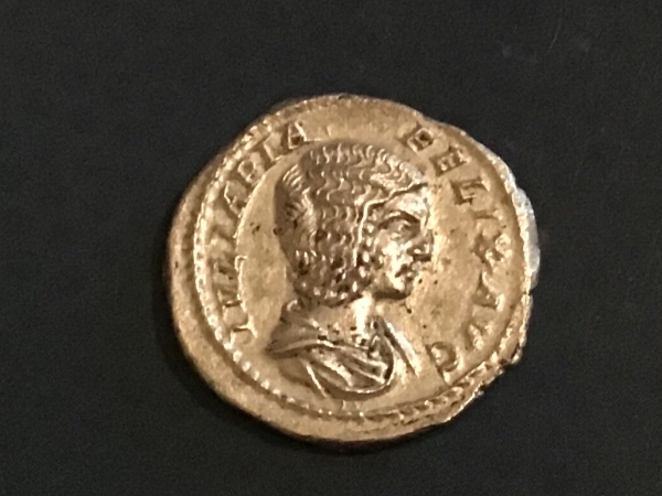 Picked-Up-A-Julia-Domna-Denarius-And-Constantine-L-Bronze.