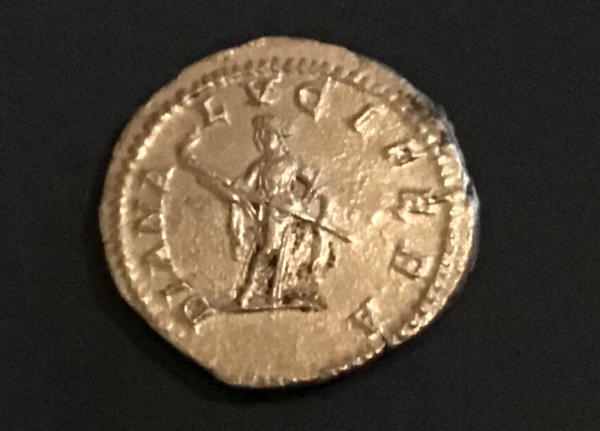 Picked-Up-A-Julia-Domna-Denarius-And-Constantine-L-Bronze.