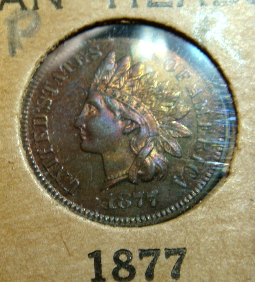 Flying-Eagle-/-Indian-Head-Collection-In-Old-Album-Pages