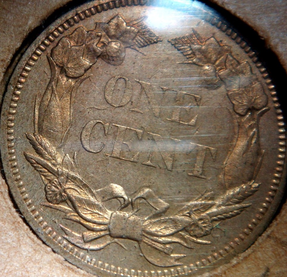 Flying-Eagle-/-Indian-Head-Collection-In-Old-Album-Pages