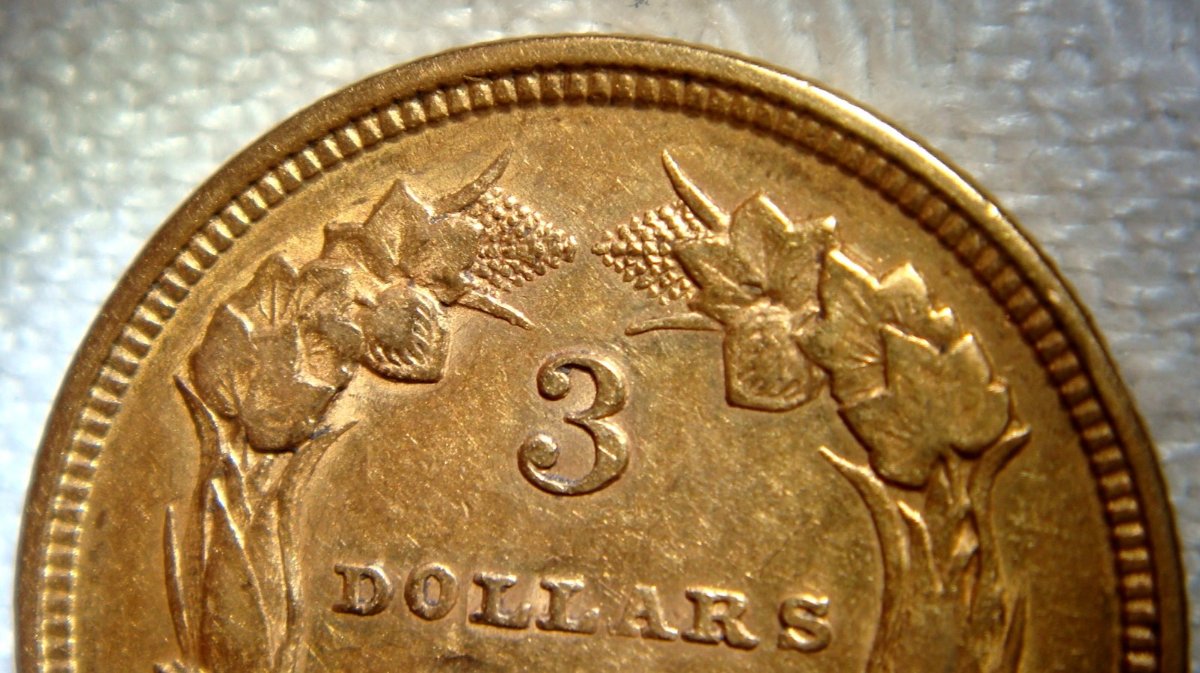 1854-Three-Dollar-Gold-Indian-Princess-Head-For-Grade-Opinions