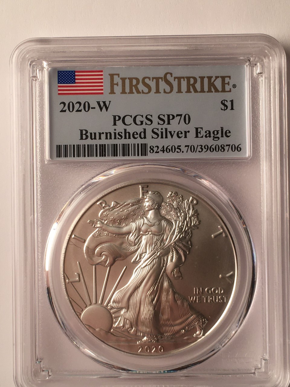 Struck-Through-Error-On-Silver-Eagle