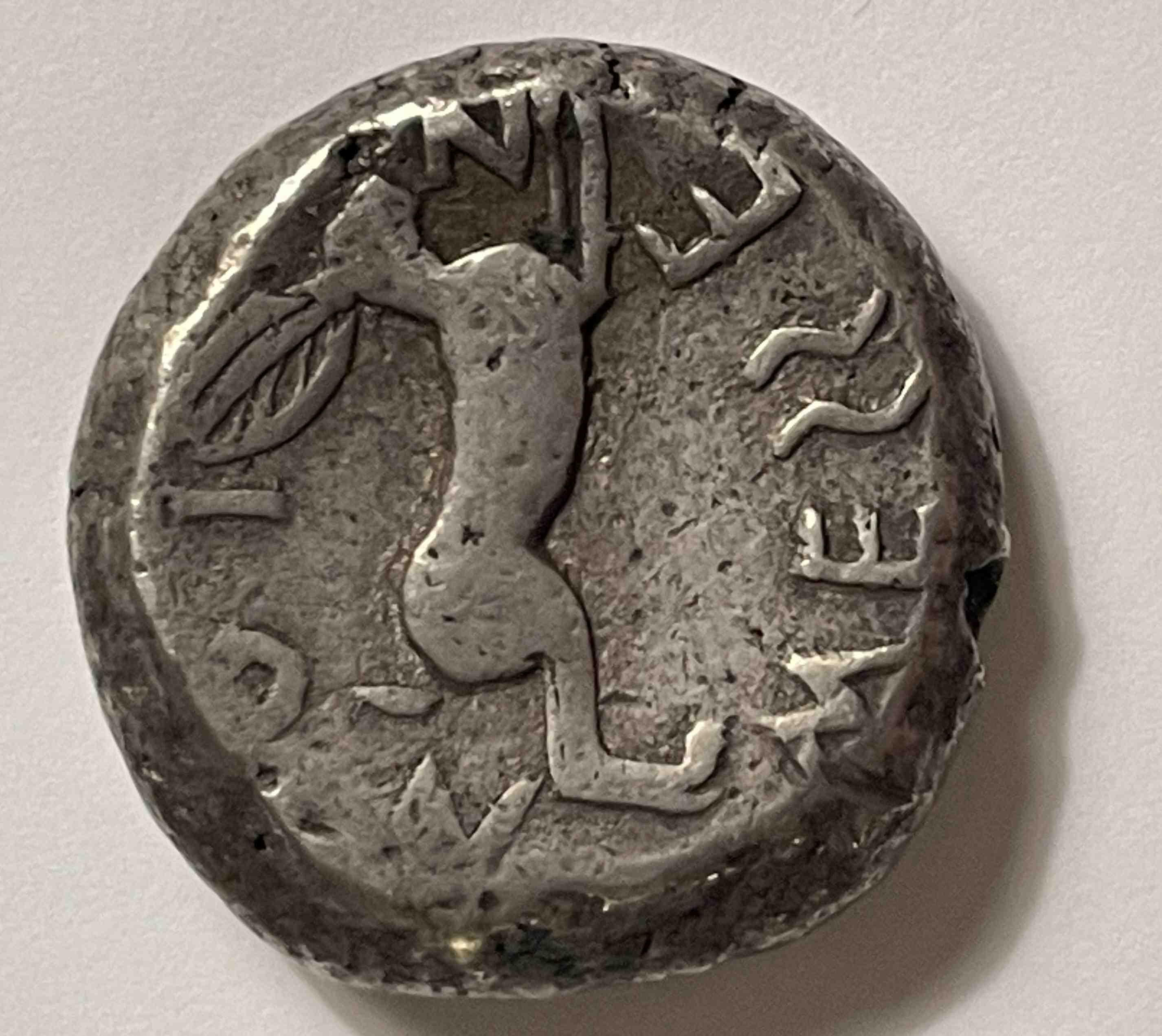 Post-Your-Rabbit-Coins