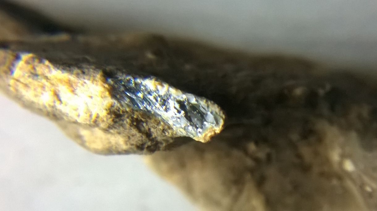 My-First-Question-About-A-Find.