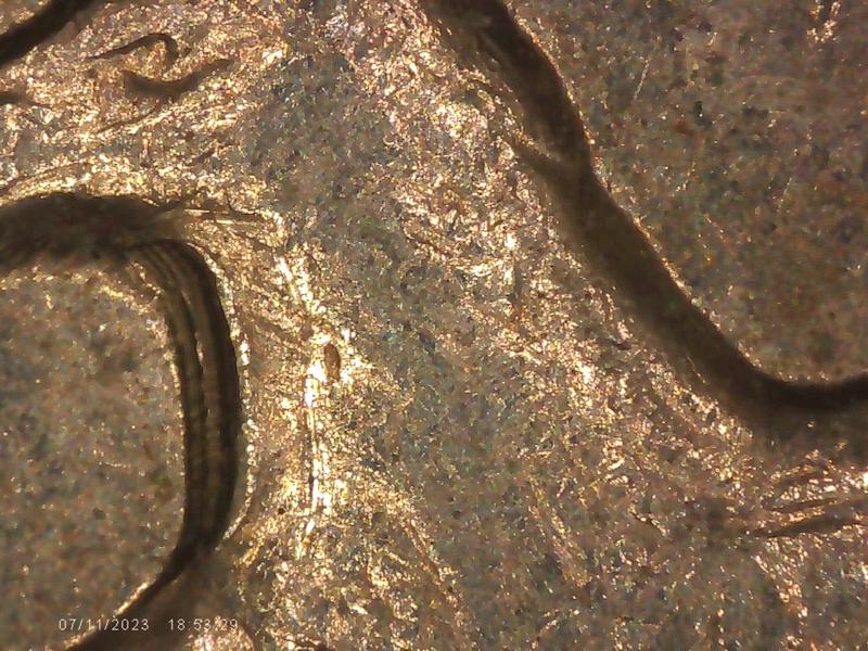 1995-P-Washington-Quarter-Triple-Neck-?