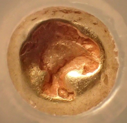 What-Is-Your-Oldest-Coin?
