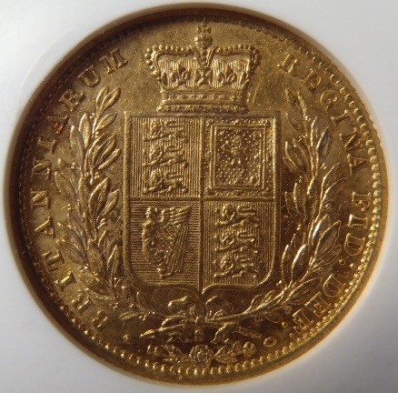 Post-Your-Lion-Coins!