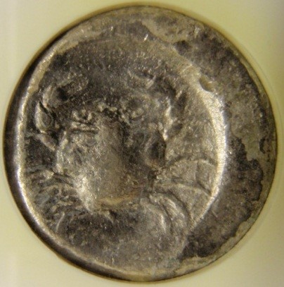 Post-Your-Coins-Representing-The-Animal-Kingdom.