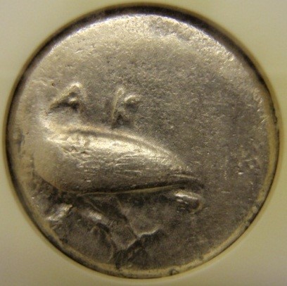 Post-Your-Coins-Representing-The-Animal-Kingdom.