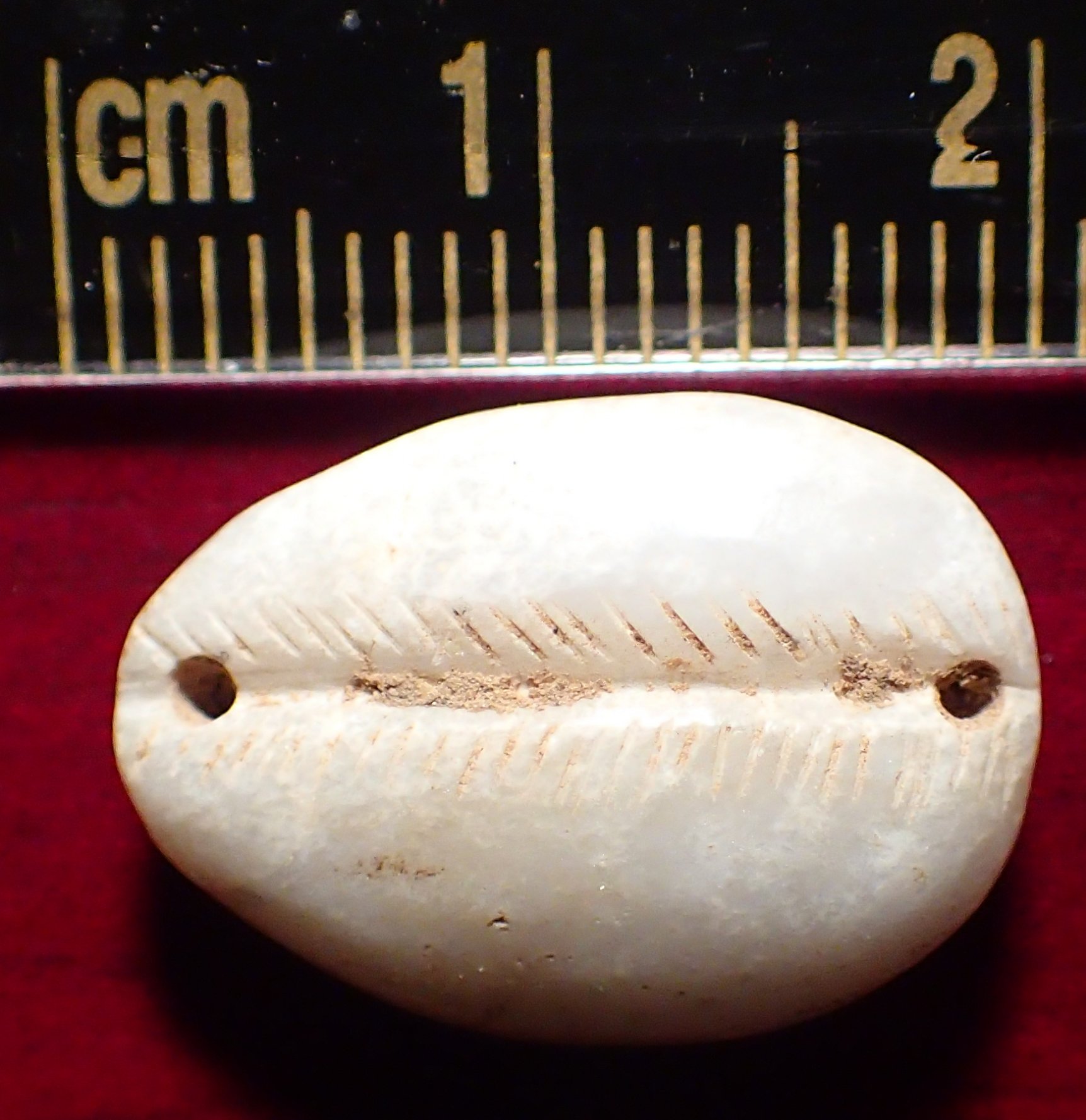 Question-About-Unusual-Coinage-Materials/Post-Your-Unusual-Materials-Coins!