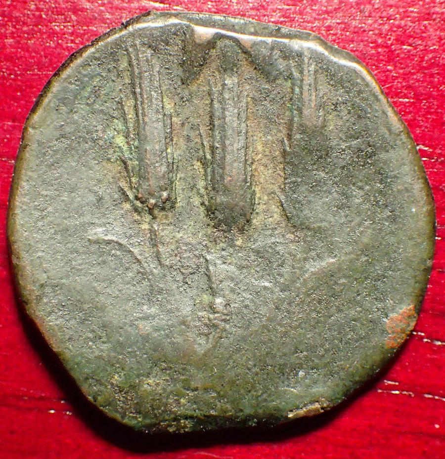 241-238Bc-Libyan-Revolt-Arsenic-Coins?-Please-Let-Me-Know-What-You-Think.