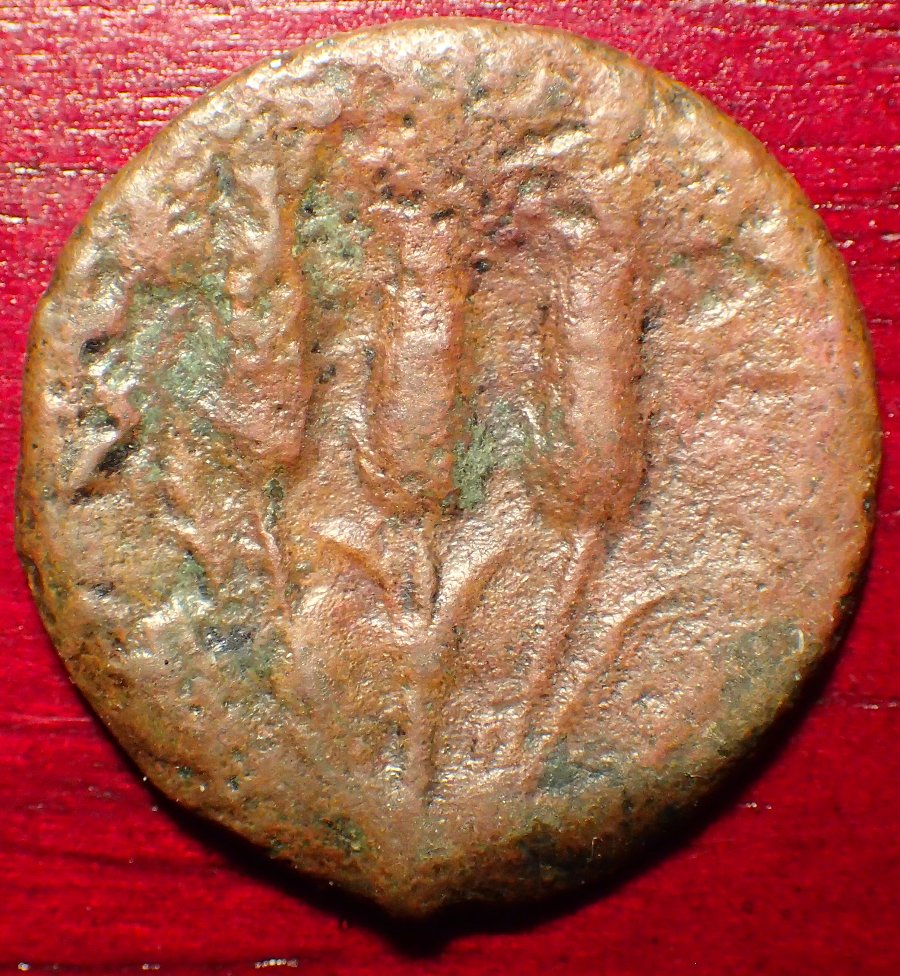 241-238Bc-Libyan-Revolt-Arsenic-Coins?-Please-Let-Me-Know-What-You-Think.