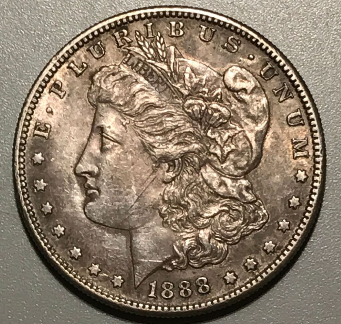 1888-S-Morgan-Dollar-Raw-W/-Wonky-Toning---Grading-Opinions