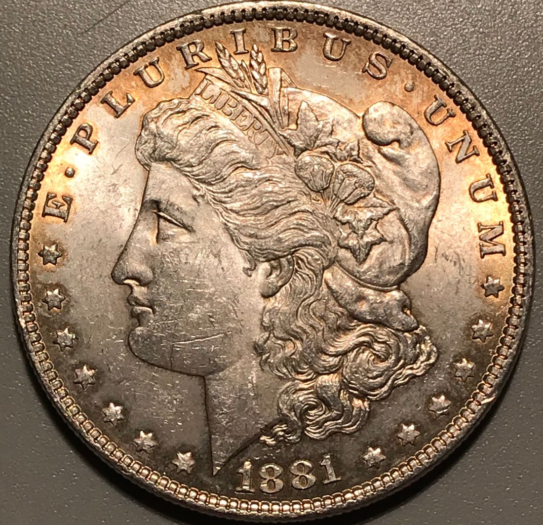 2-1881-P-Morgan-Dollars-Raw----Grading-Opinions