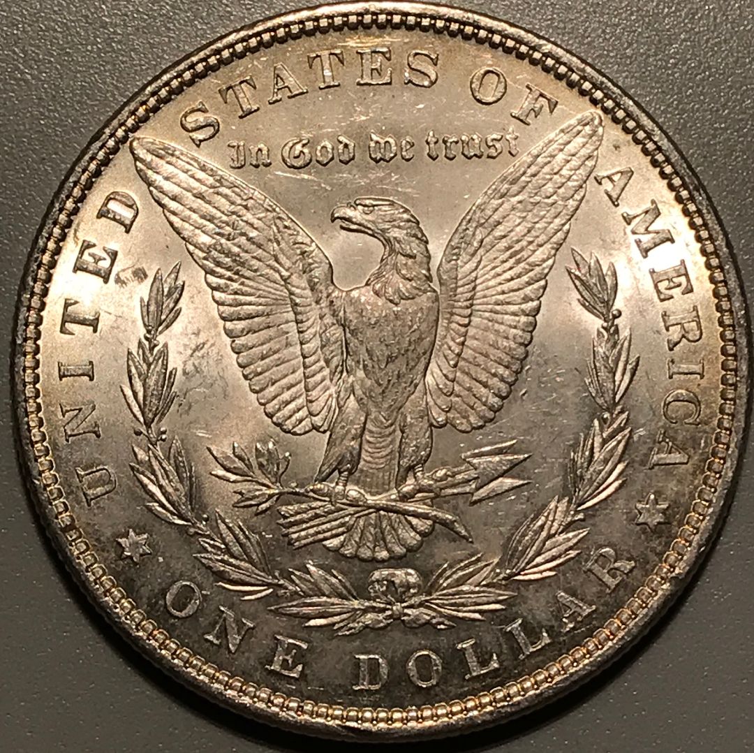 2-1881-P-Morgan-Dollars-Raw----Grading-Opinions