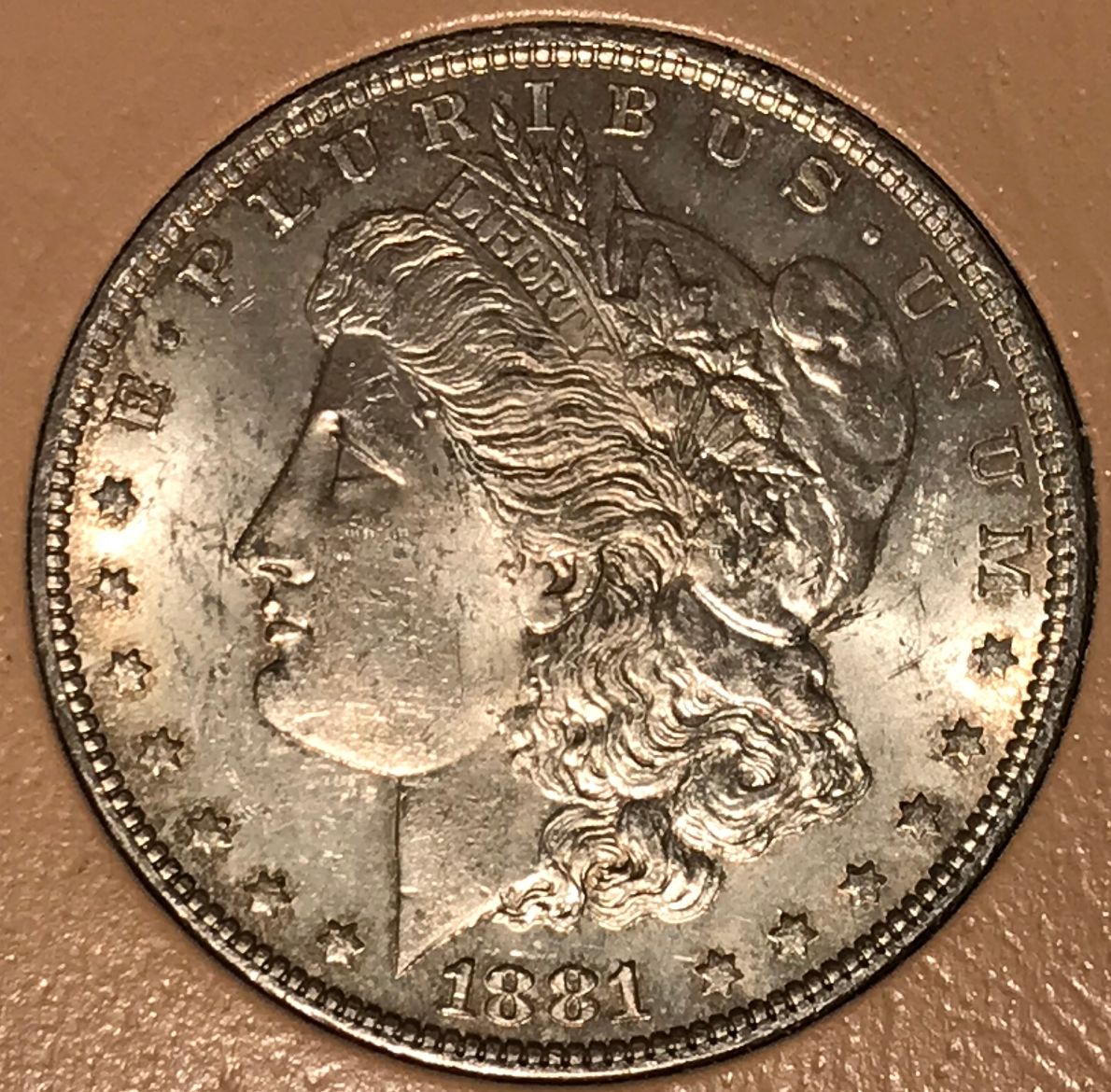 2-1881-P-Morgan-Dollars-Raw----Grading-Opinions
