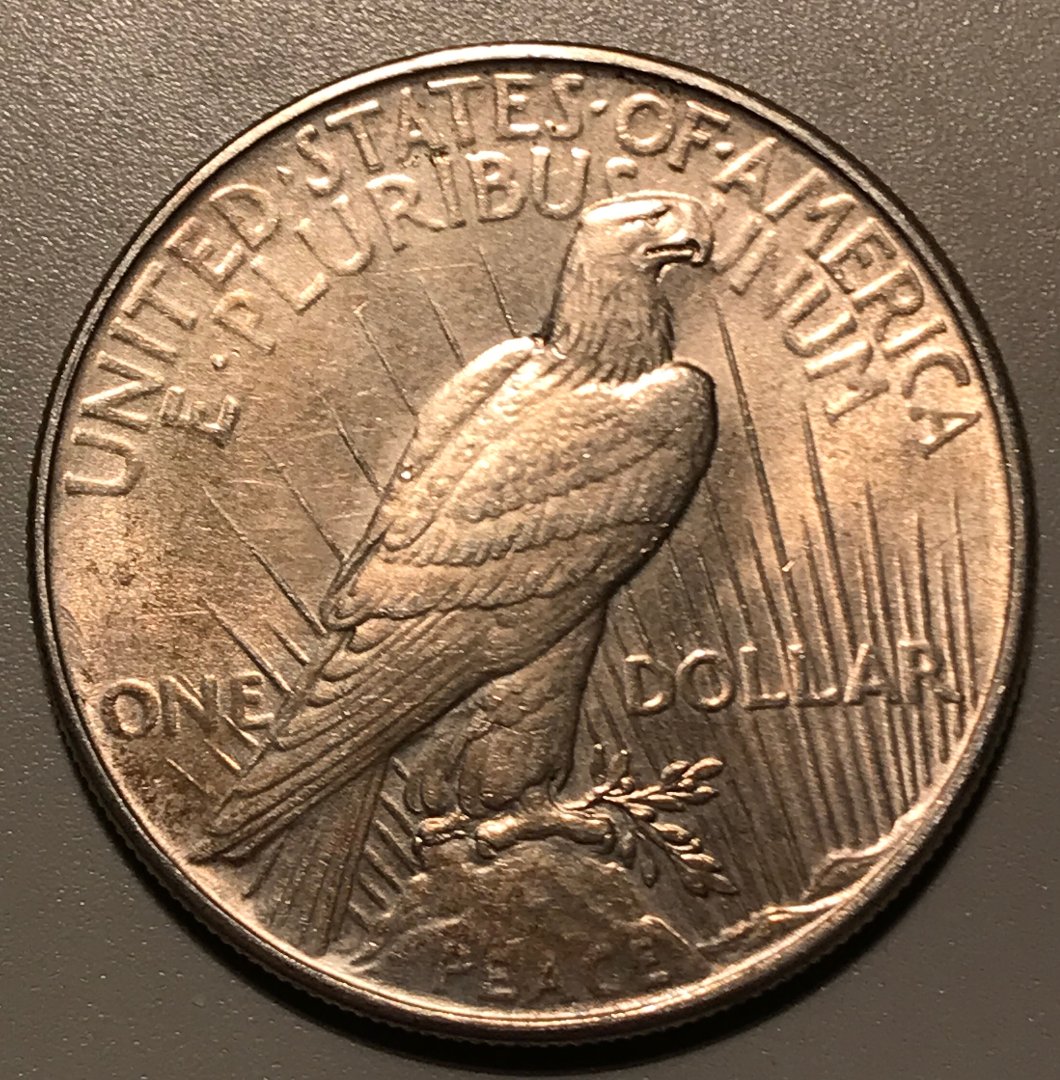 1934-P-Peace-Dollar-Grade