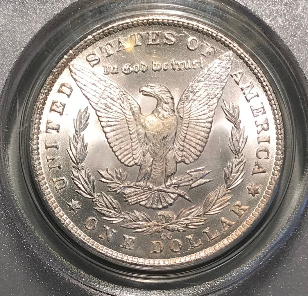1881-CC-Morgan-Dollar---You-Vs-PCGS