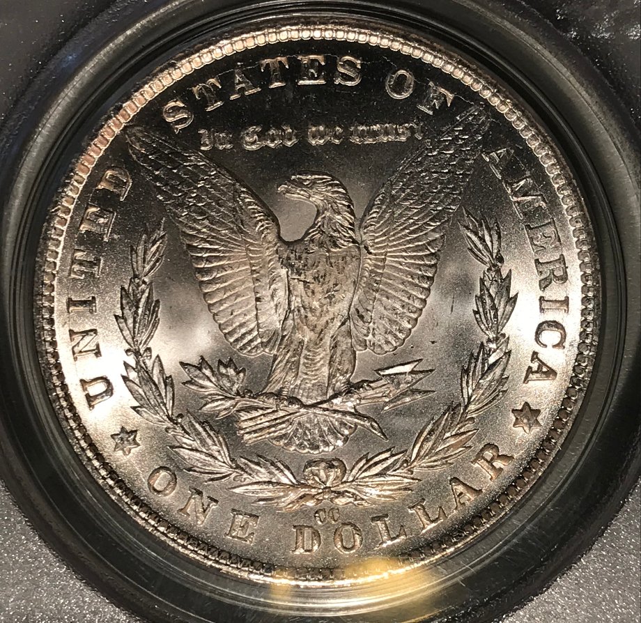 1881-CC-Morgan-Dollar---You-Vs-PCGS