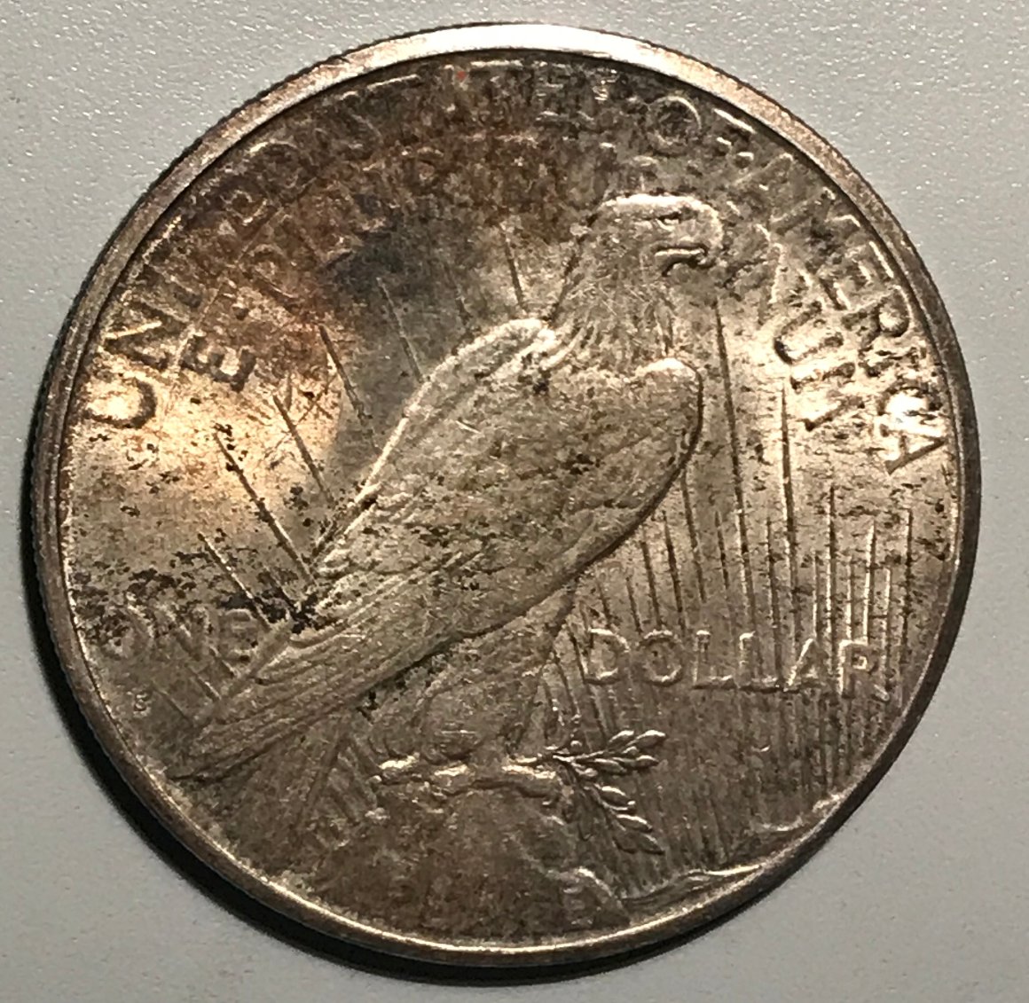 1925-S-Peace-Dollar---Grading-Opinions