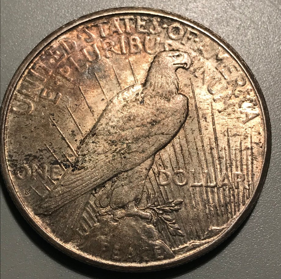 1925-S-Peace-Dollar---Grading-Opinions