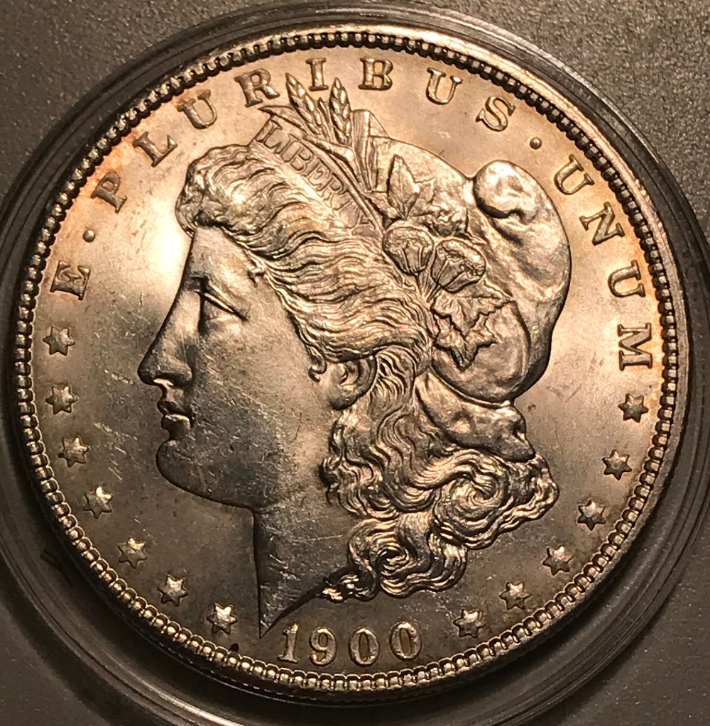 1900-P-Morgan-Dollar---Grading-Opinions