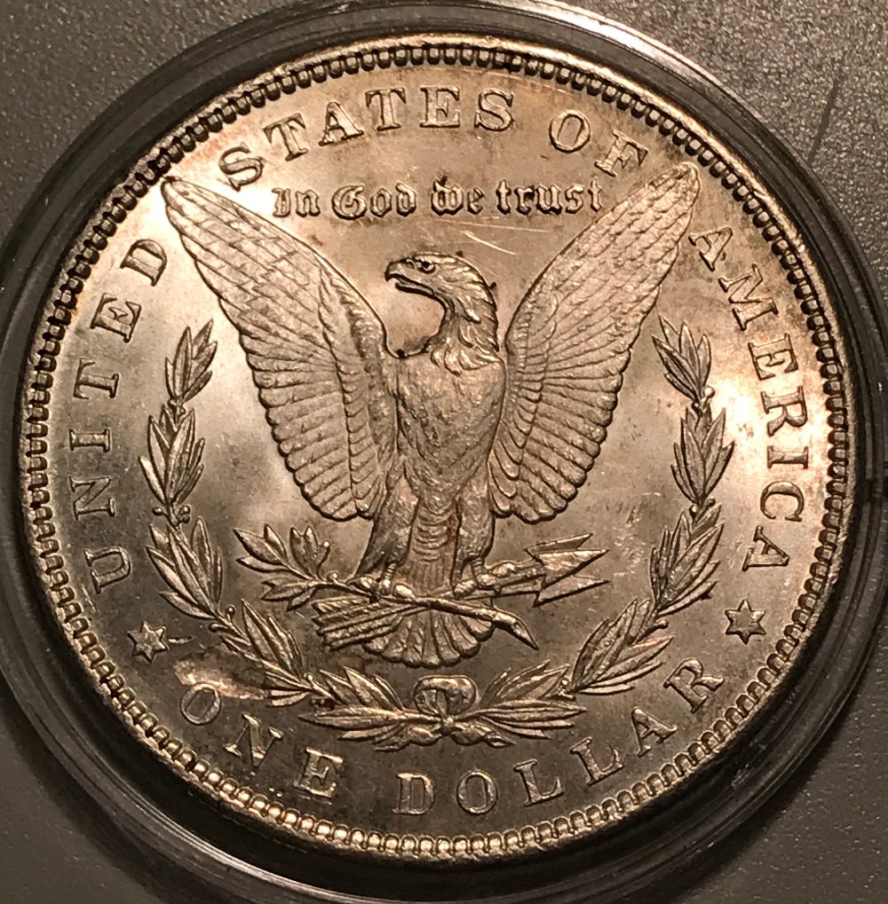 1890-P-Morgan-Dollar---Grading-Opinions