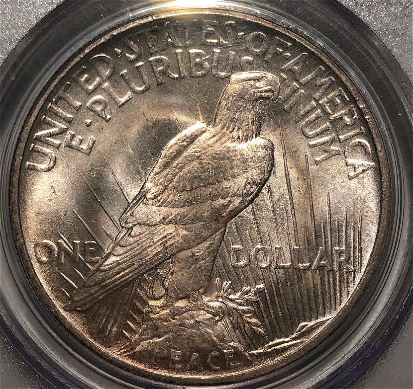 1921-Peace-Dollar---You-Vs-PCGS