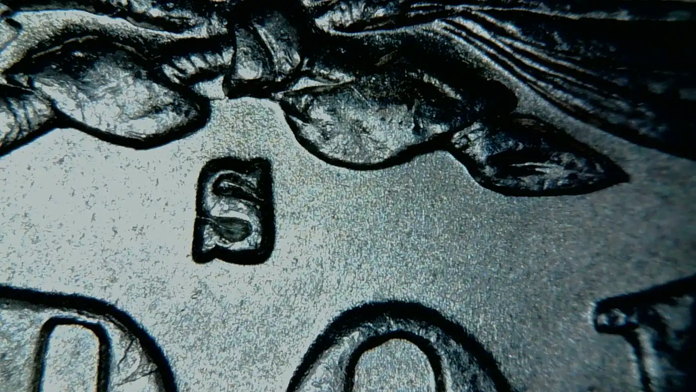 1878-S-VAM-But-Which-One-Is-A-Mystery-To-Me