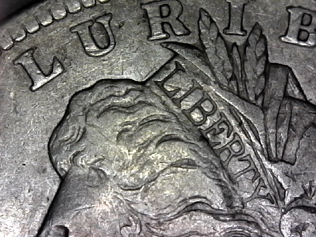 1882-CC-Morgan-Dollar-For-Grading