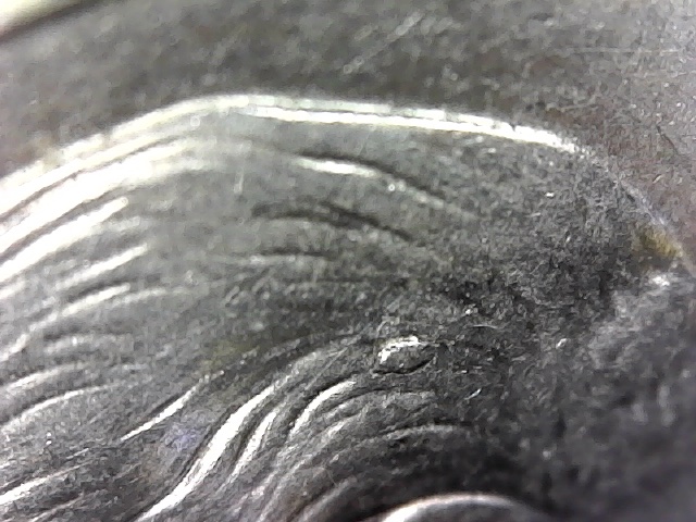 2007-P-Roosevelt-Dime-Die-Chip?
